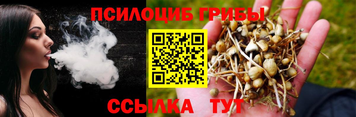 Галлюциногенные грибы мухоморы Богородицк